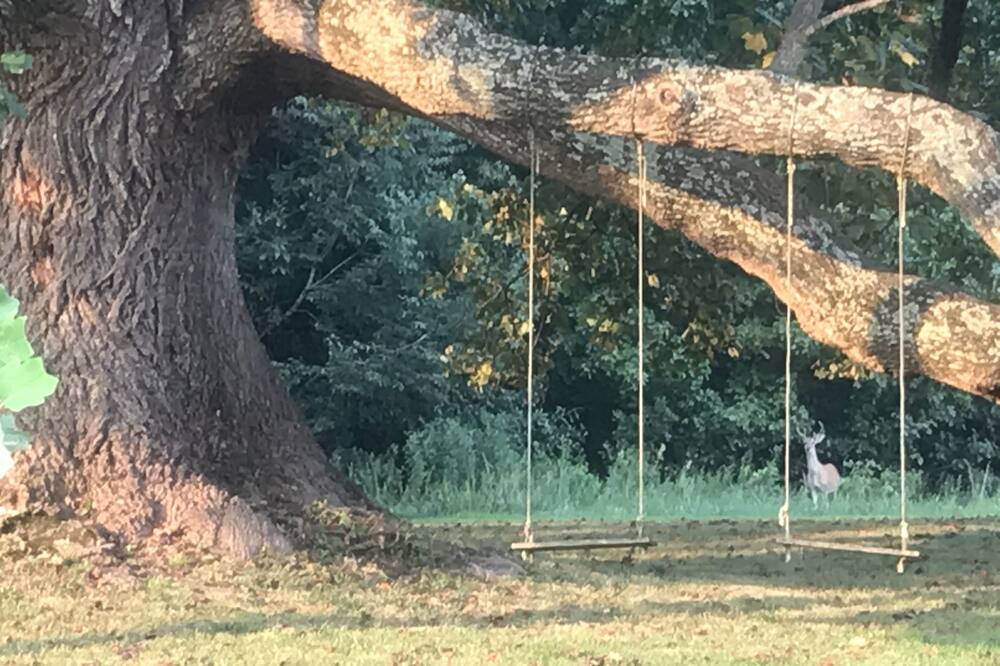 Photo of Others in Marion