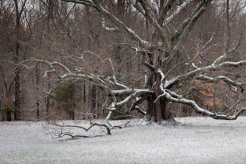 Photo of Others in Marion