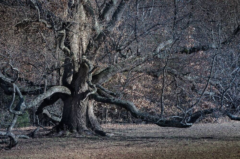 Photo of Outdoor in Marion