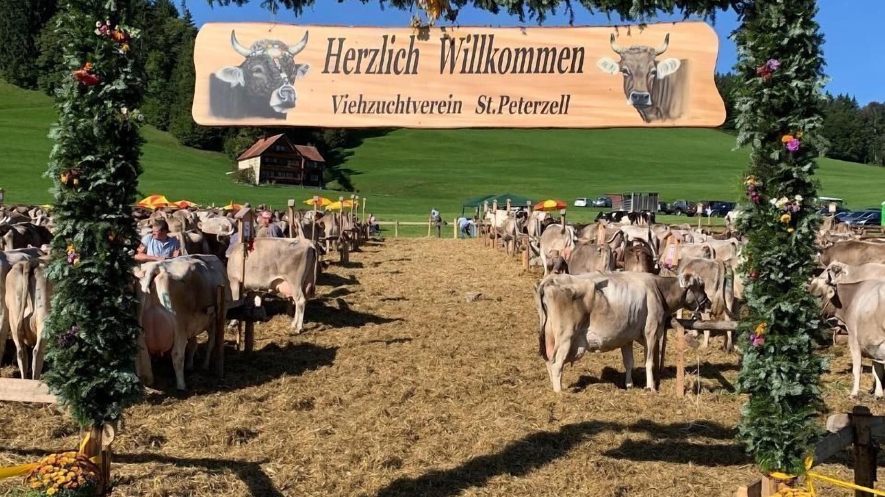 Photo of Others in Neckertal