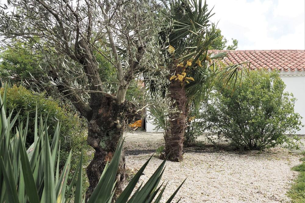 Photo of Outdoor in Sallertaine