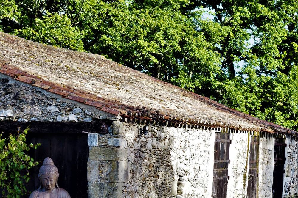Photo of Outdoor in Sallertaine
