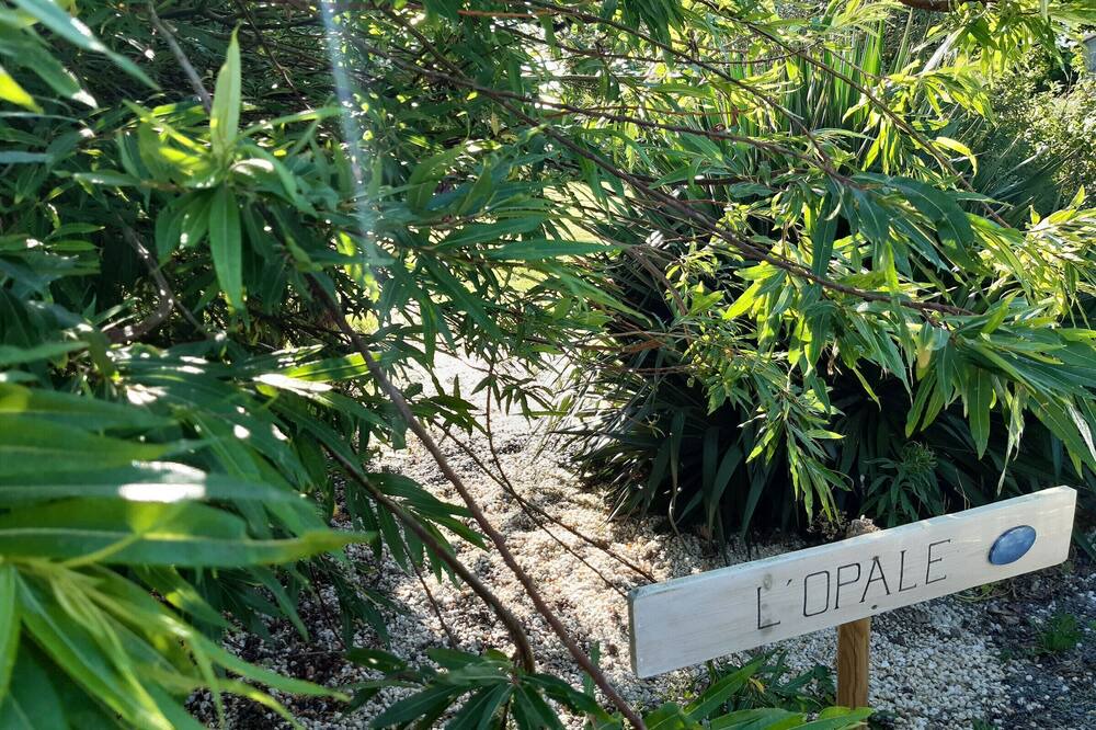 Photo of Outdoor in Sallertaine