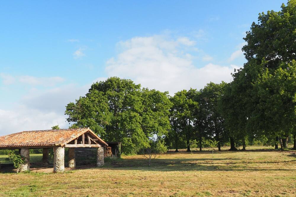 Photo of Outdoor in Sallertaine