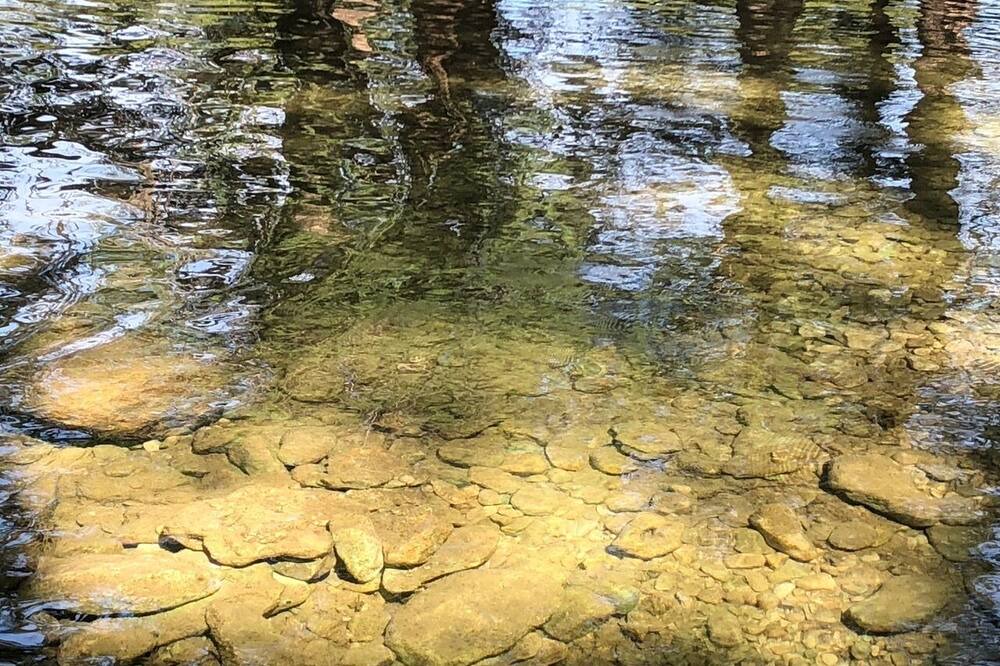 Photo of Others in Leakey