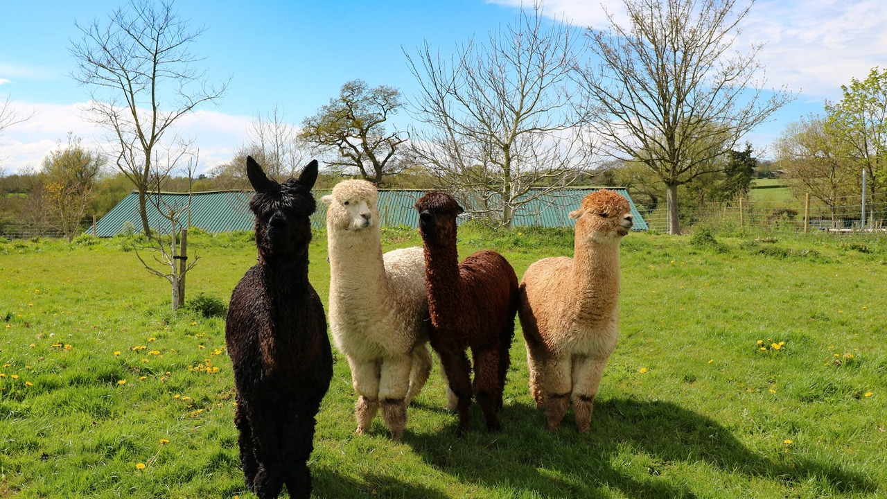 Photo of Others in Somersal Herbert