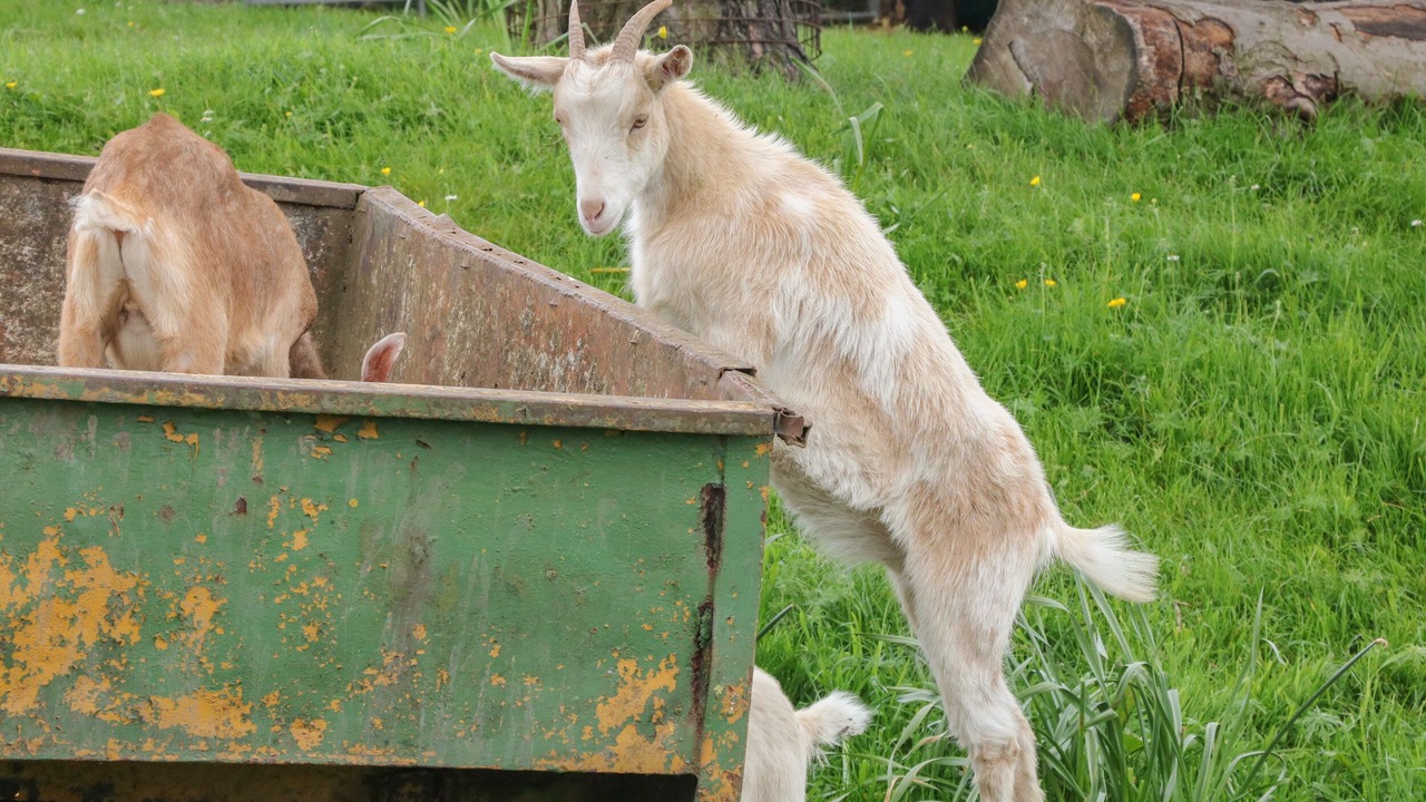 Photo of Others in Crich