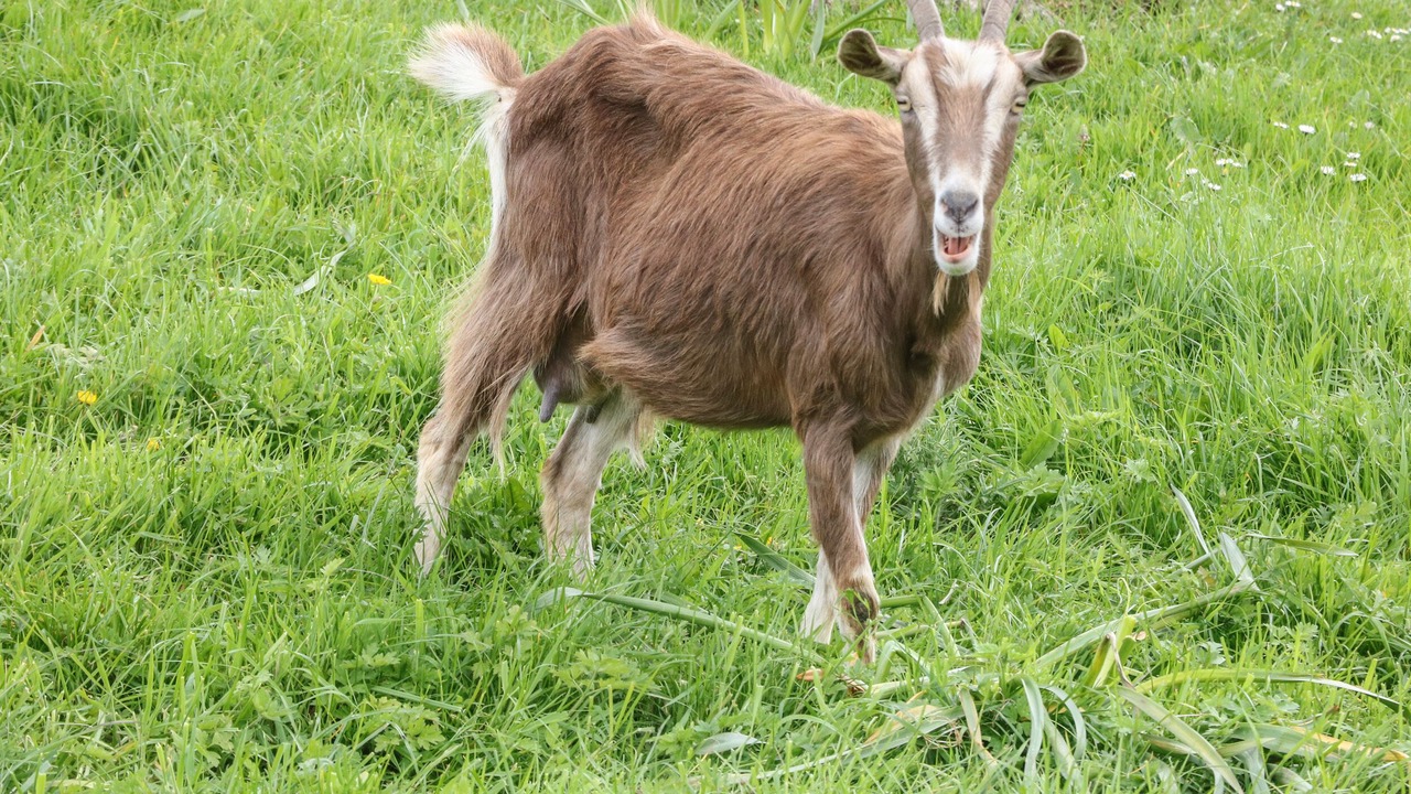 Photo of Others in Crich
