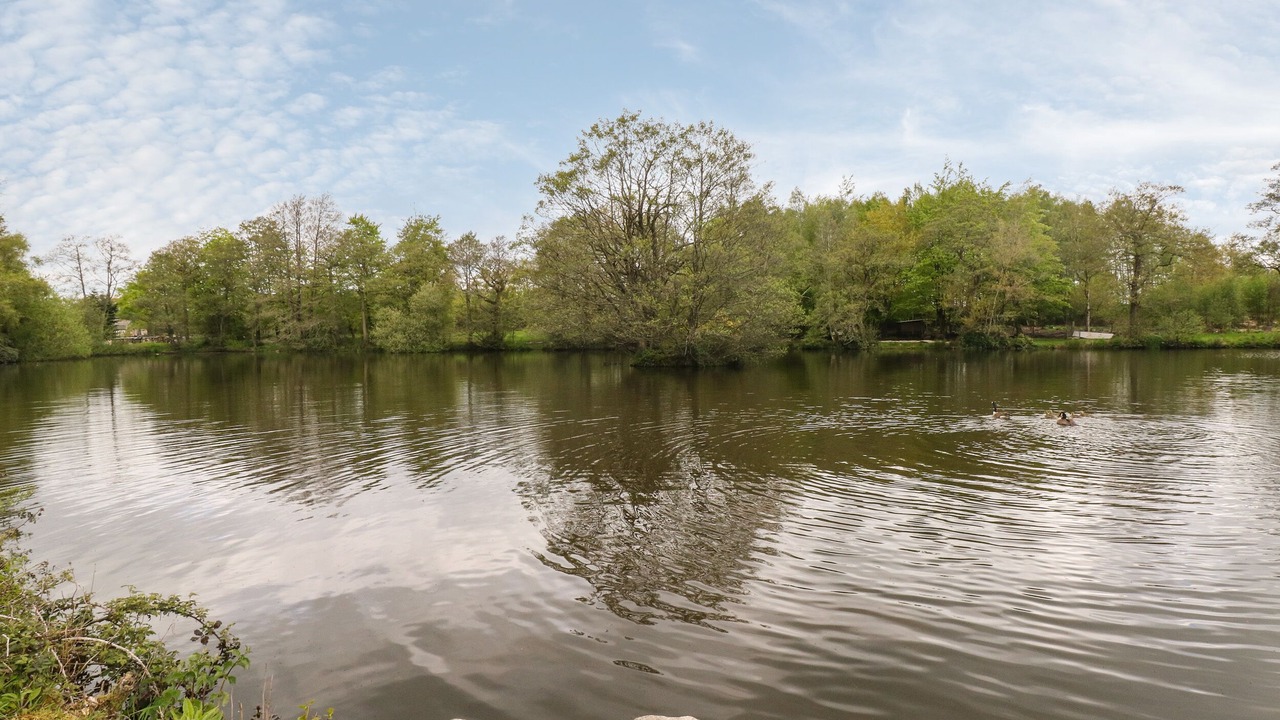 Photo of Others in Crich
