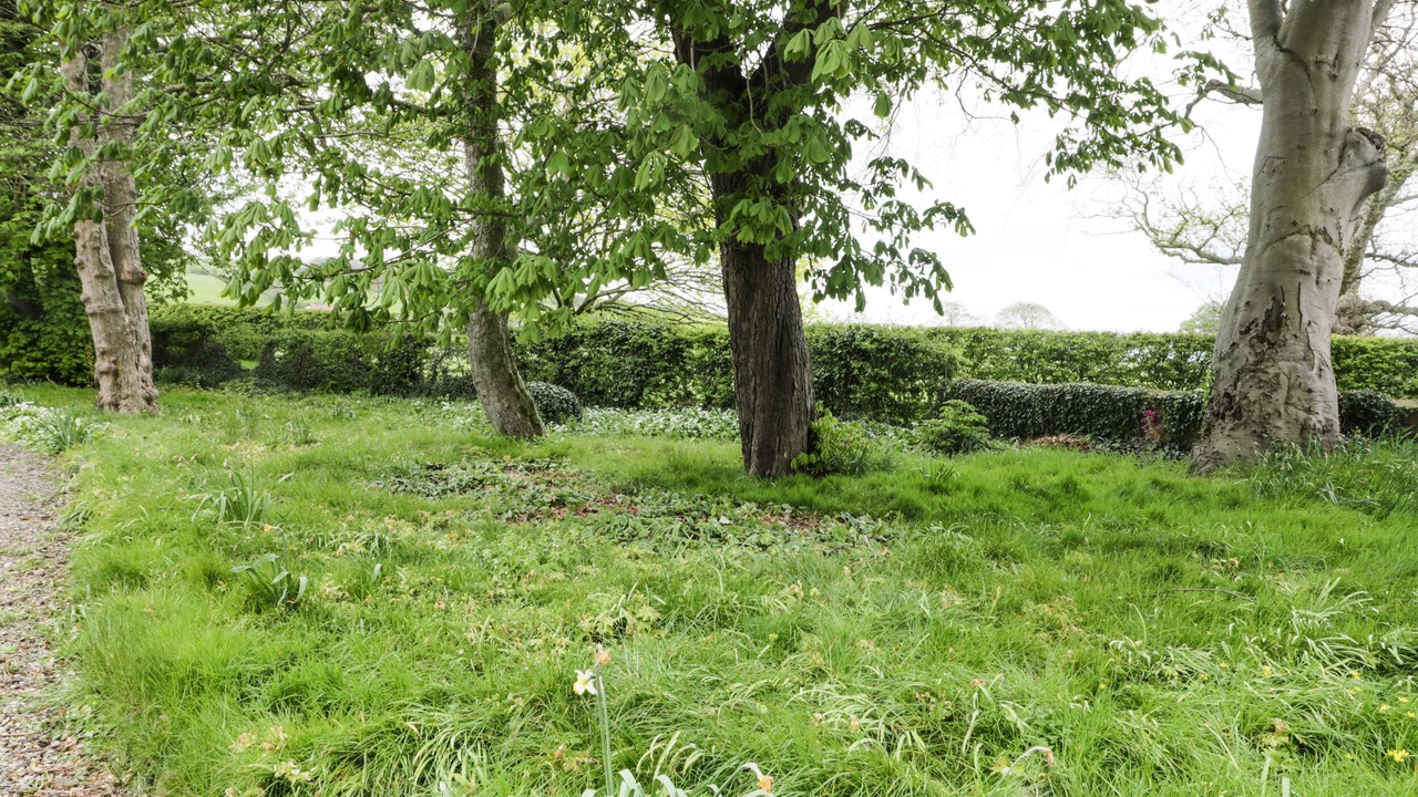 Photo of Others in Staxton