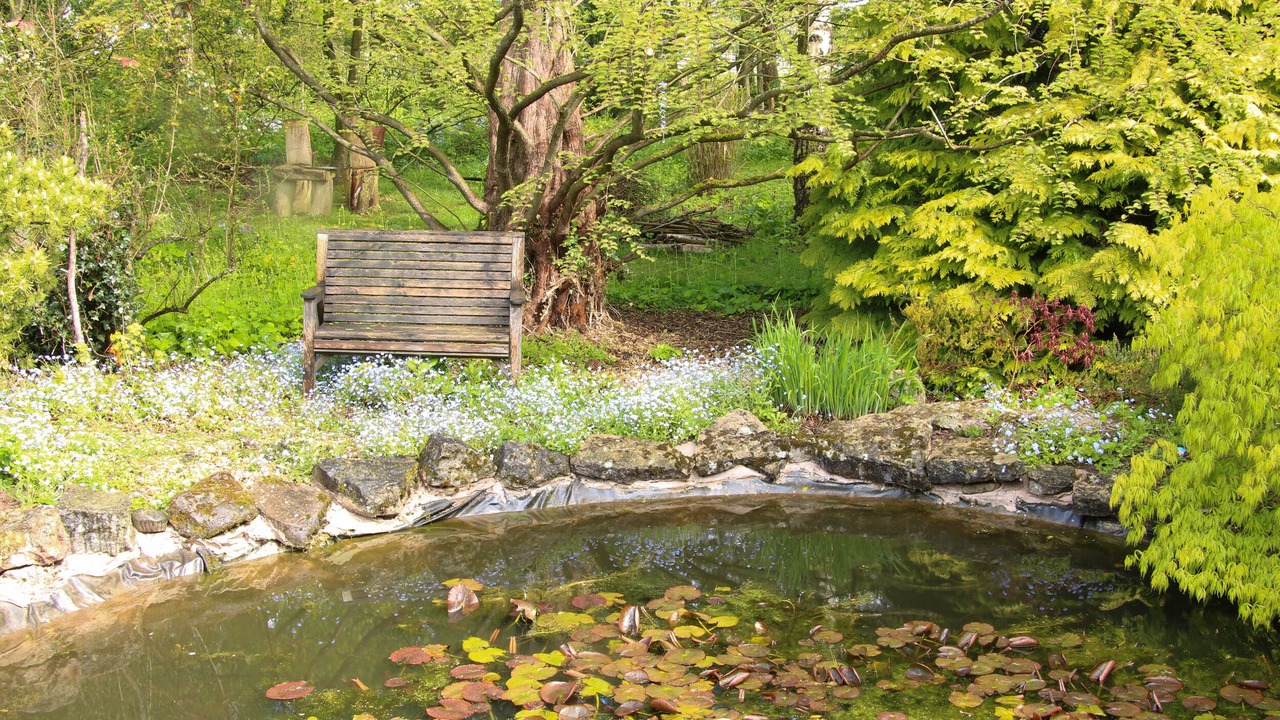 Photo of Others in Bridgnorth