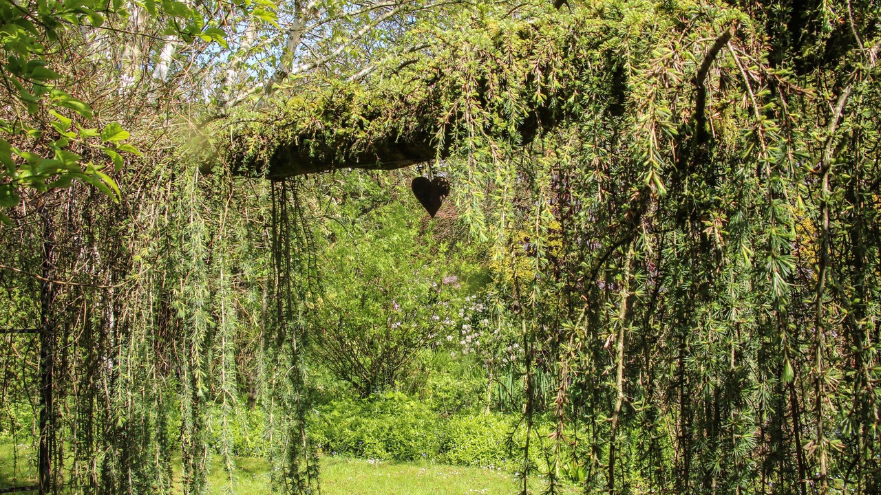 Photo of Others in Bridgnorth