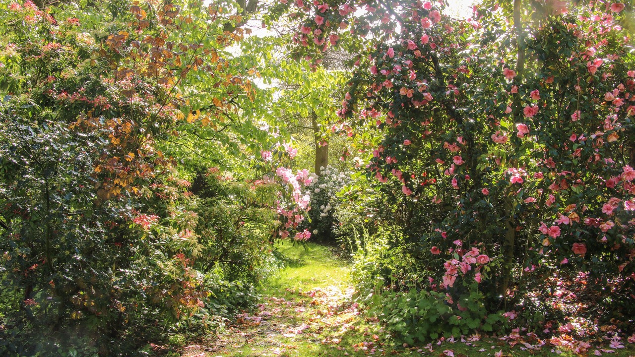 Photo of Others in Bridgnorth