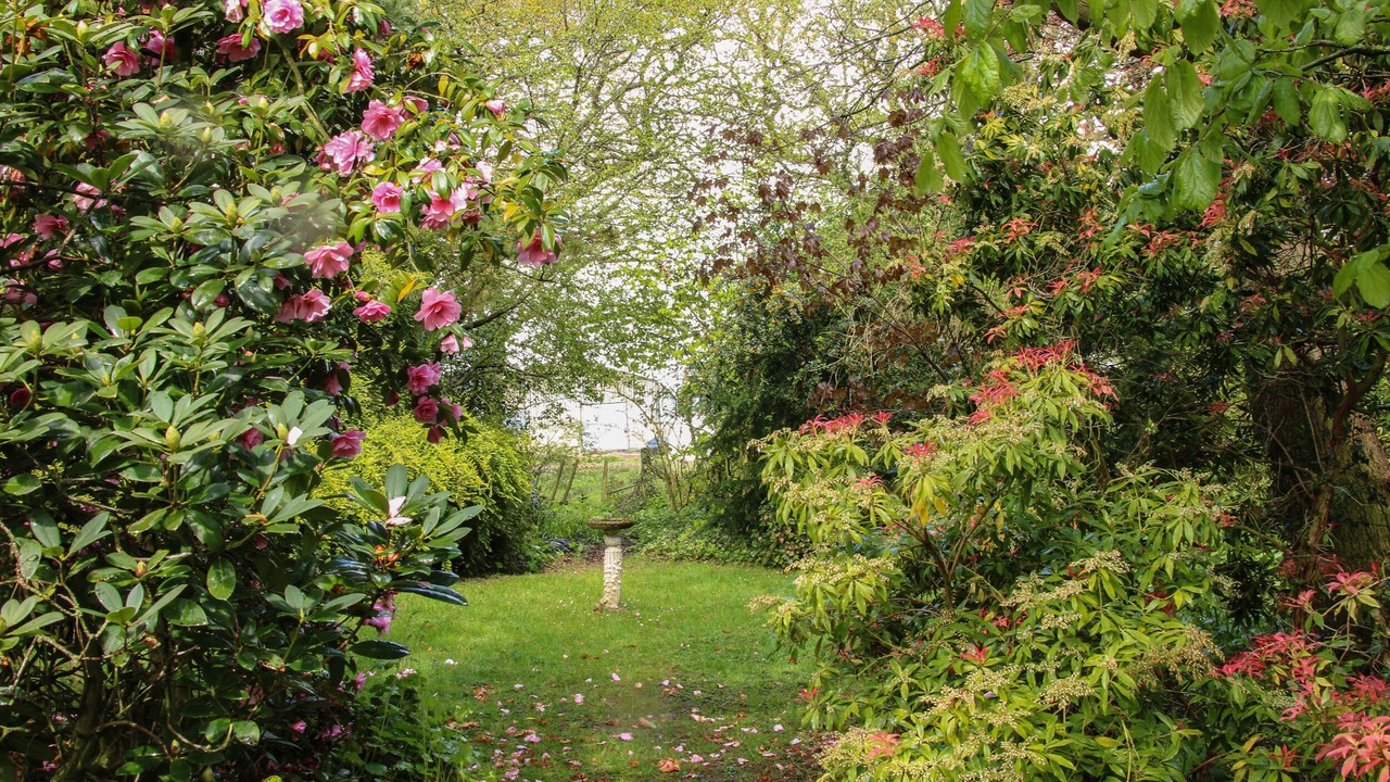 Photo of Others in Bridgnorth