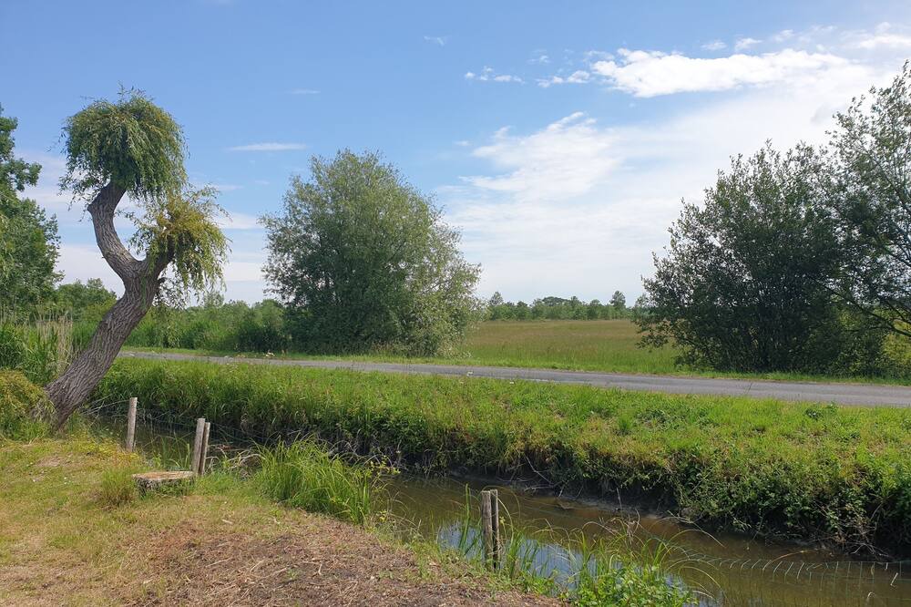 Photo of Outdoor in Soullans