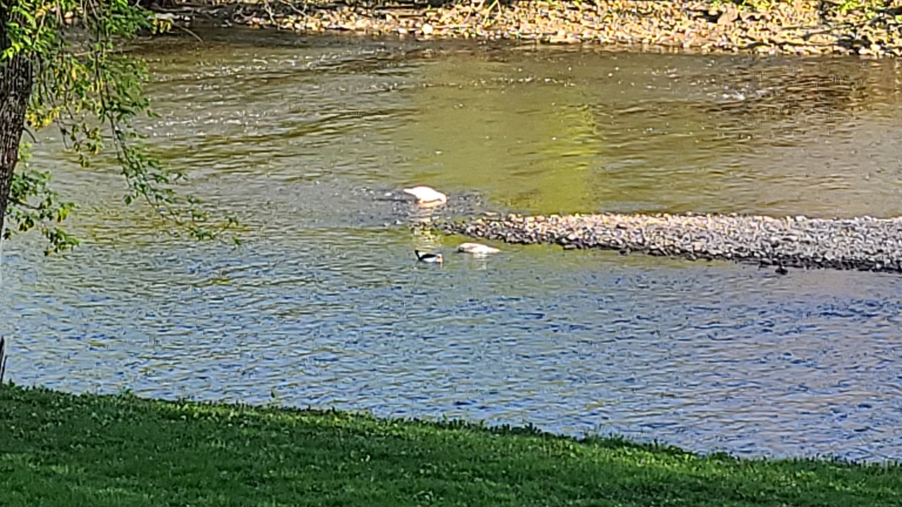 Photo of Others in Mitchell