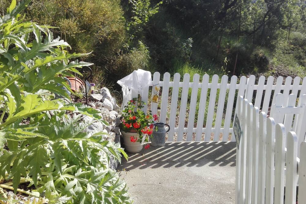 Photo of Outdoor in Chateauredon