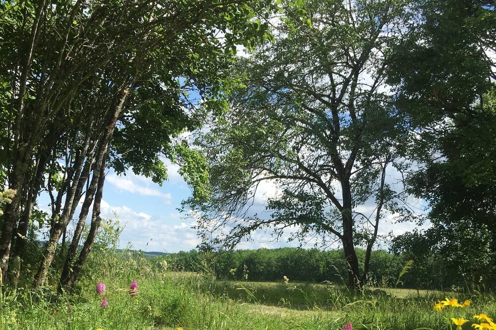 Photo of Outdoor in Montaigu-de-Quercy