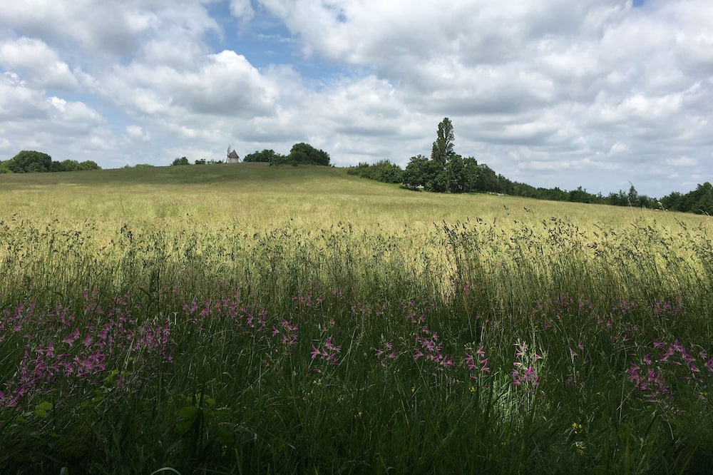 Photo of Outdoor in Montaigu-de-Quercy