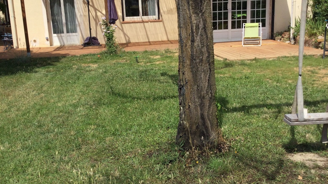Photo of Outdoor in Cazouls-les-Beziers