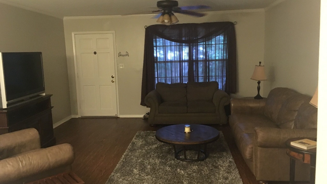 Photo of Livingroom in Hoover