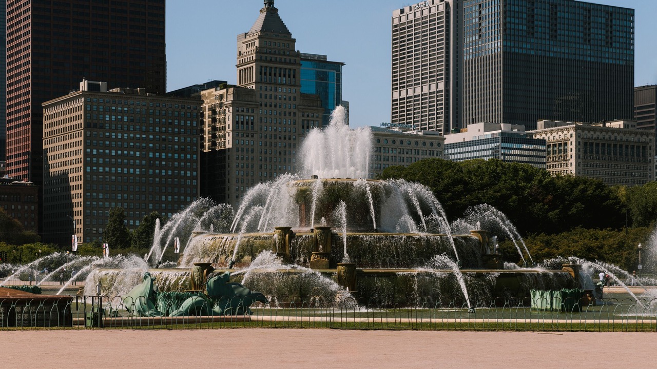 Photo of Others in The Loop