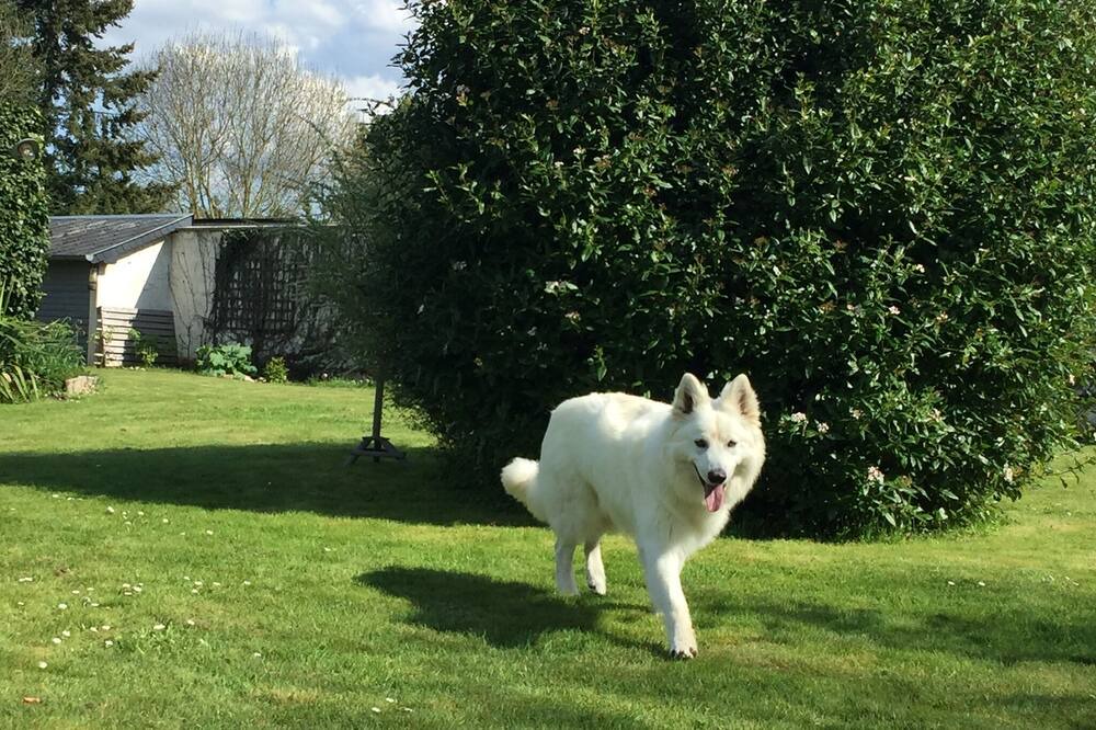 Photo of Outdoor in Beaufour-Druval