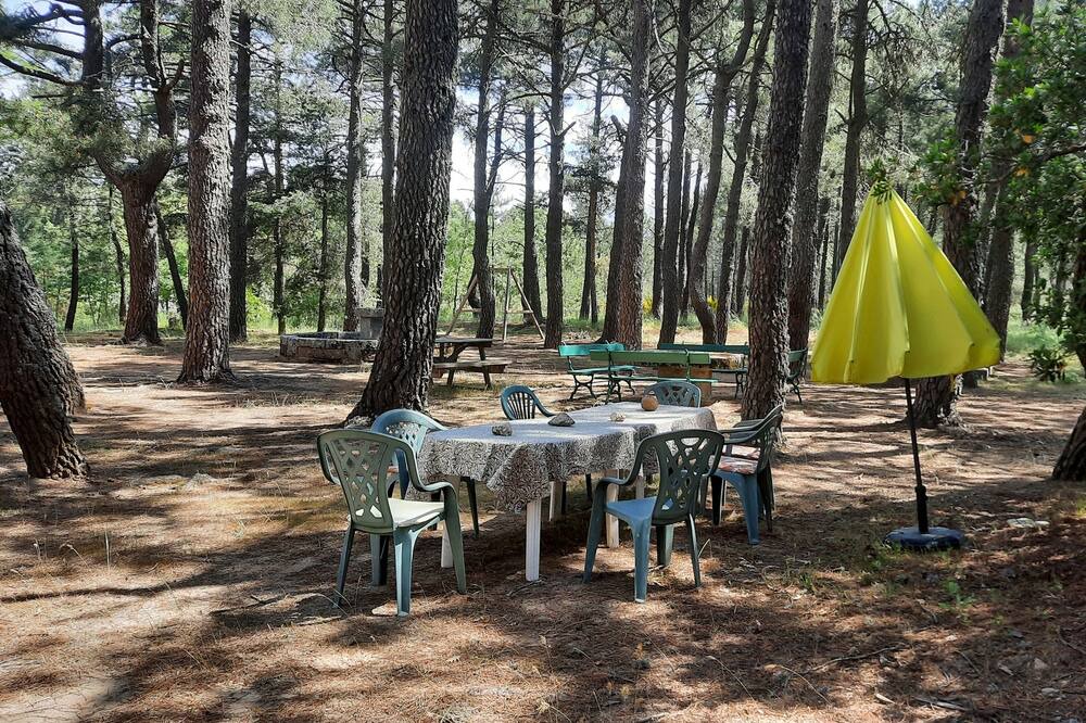Photo of Others in Navalperal de Pinares
