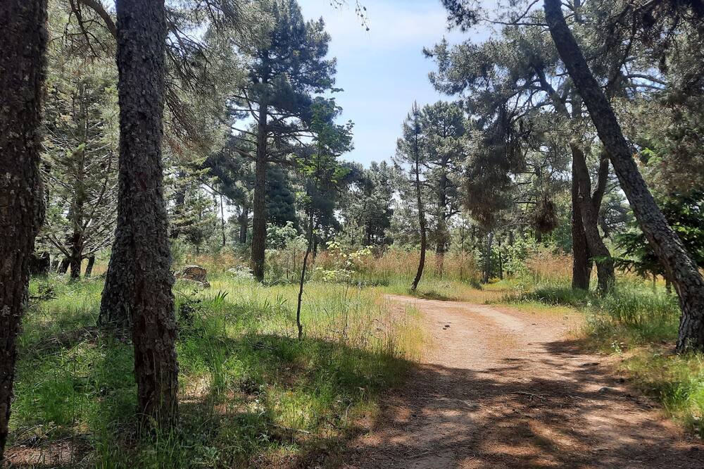 Photo of Outdoor in Navalperal de Pinares