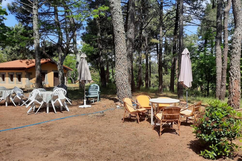 Photo of Outdoor in Navalperal de Pinares