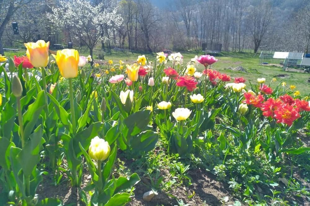 Photo of Outdoor in Saint-Firmin