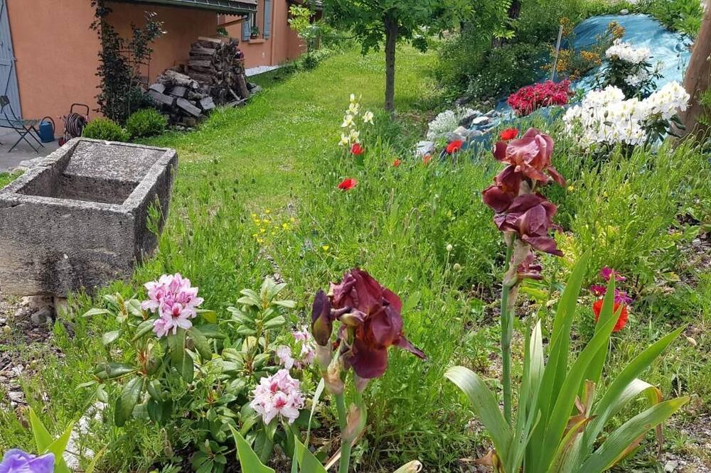 Photo of Outdoor in Saint-Firmin