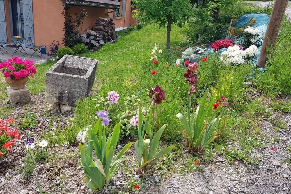 Photo of Outdoor in Saint-Firmin