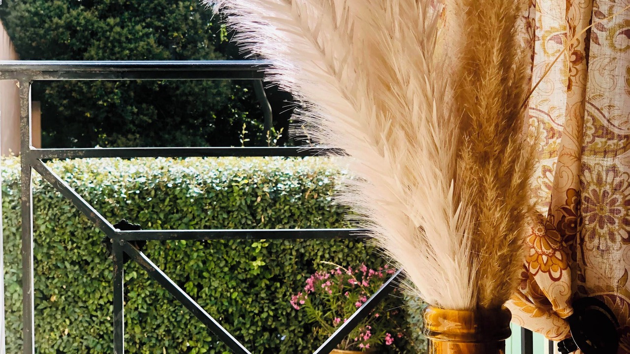 Photo of Outdoor in Bize-Minervois