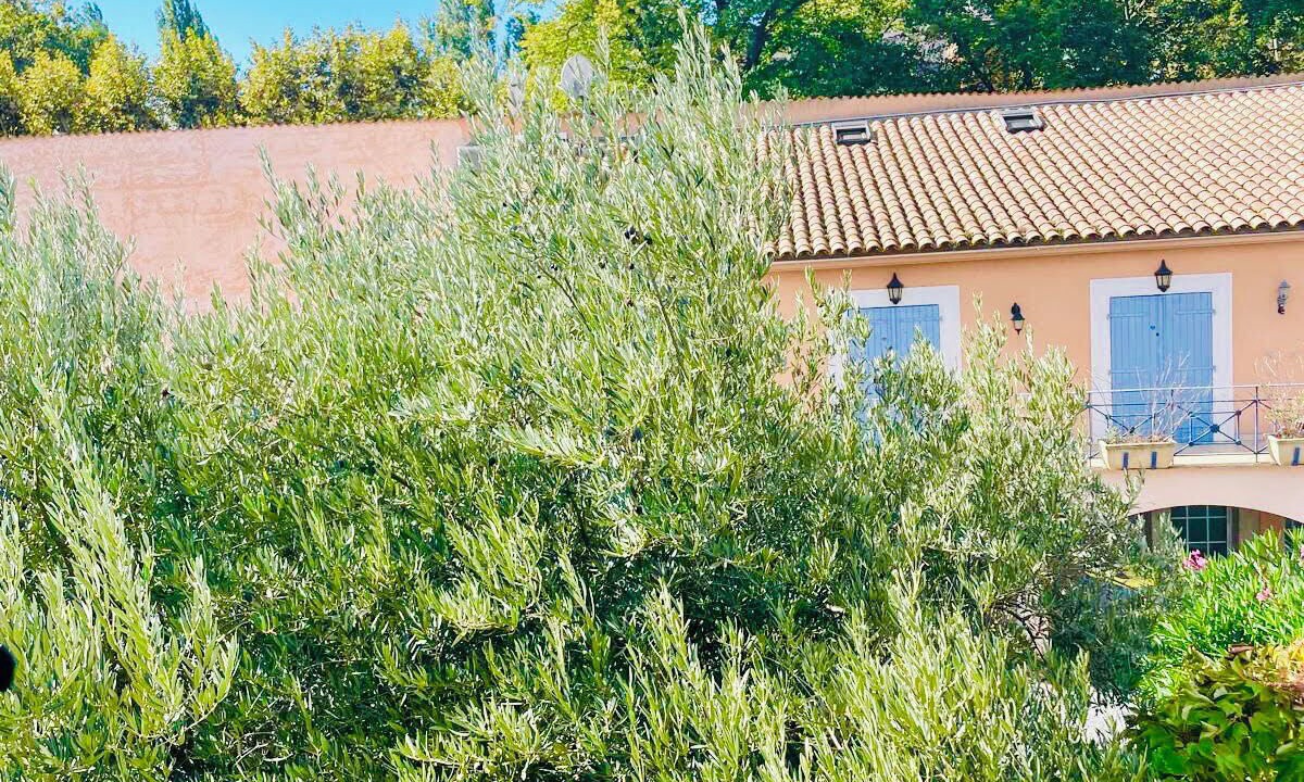 Photo of Others in Bize-Minervois