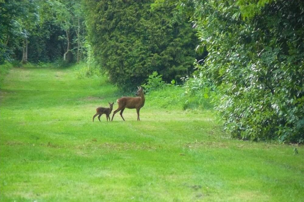 Photo of Outdoor in Varneville-Bretteville