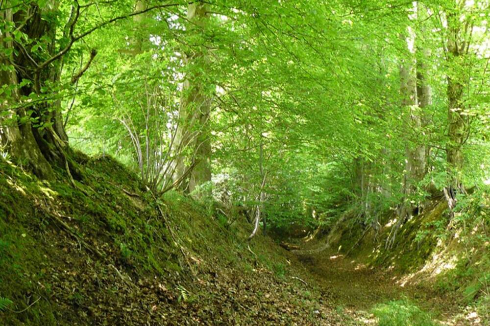 Photo of Outdoor in Varneville-Bretteville