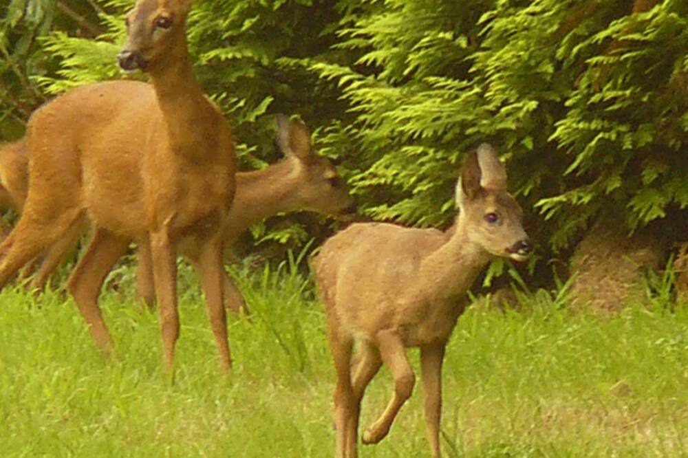 Photo of Outdoor in Varneville-Bretteville