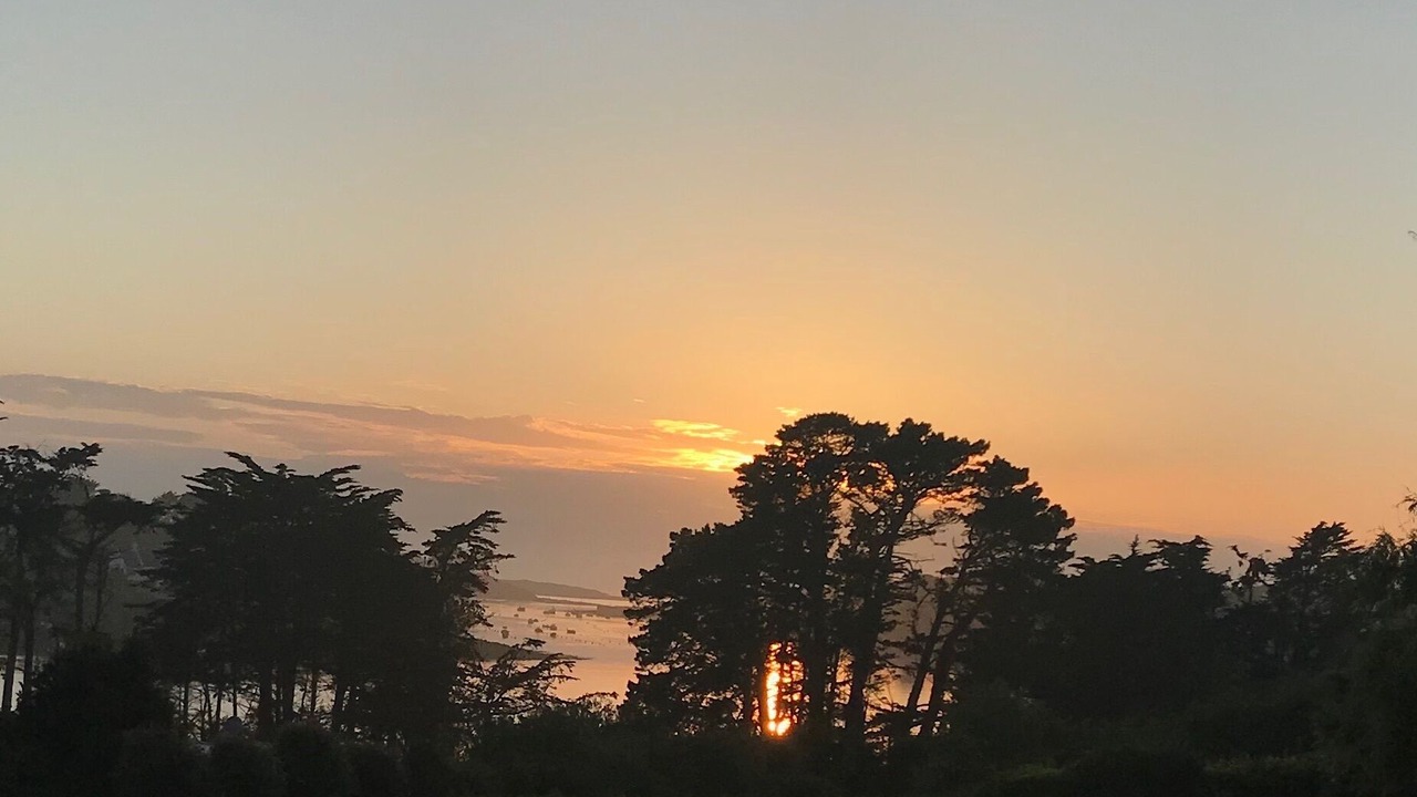 Photo of Others in Lannilis