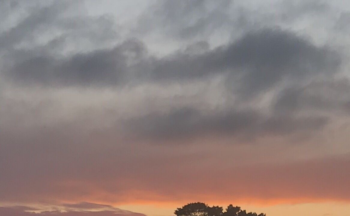 Photo of Others in Lannilis