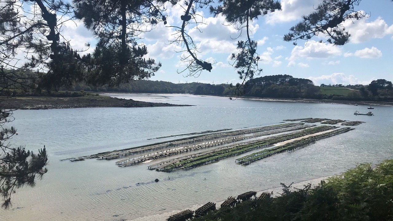 Photo of Others in Lannilis