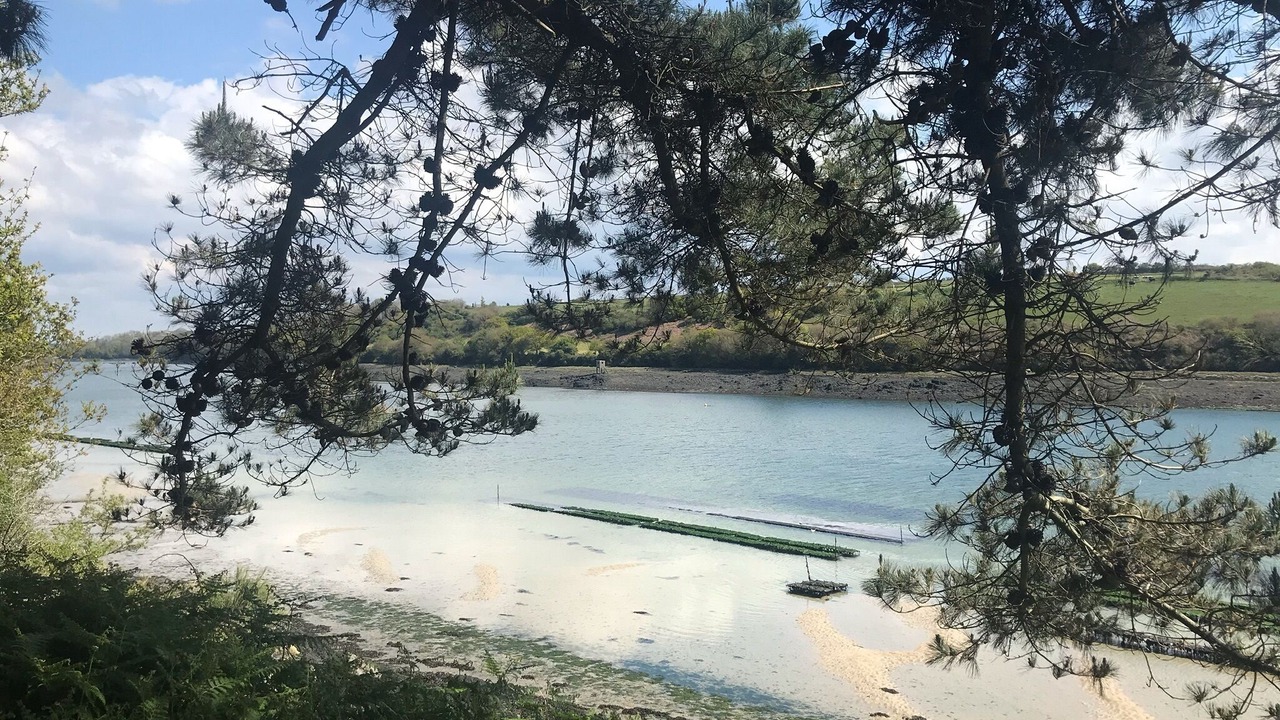 Photo of Others in Lannilis