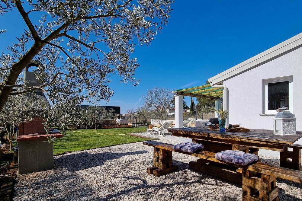 Photo of Outdoor in Novigrad