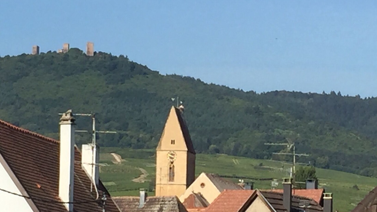 Photo of Others in Eguisheim