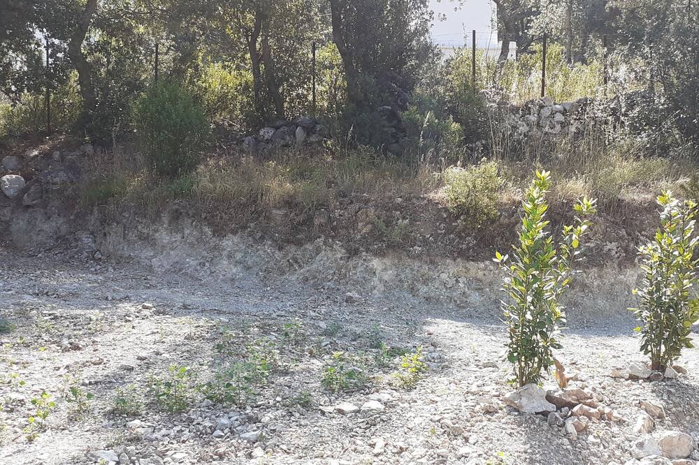 Photo of Outdoor in Caporalino