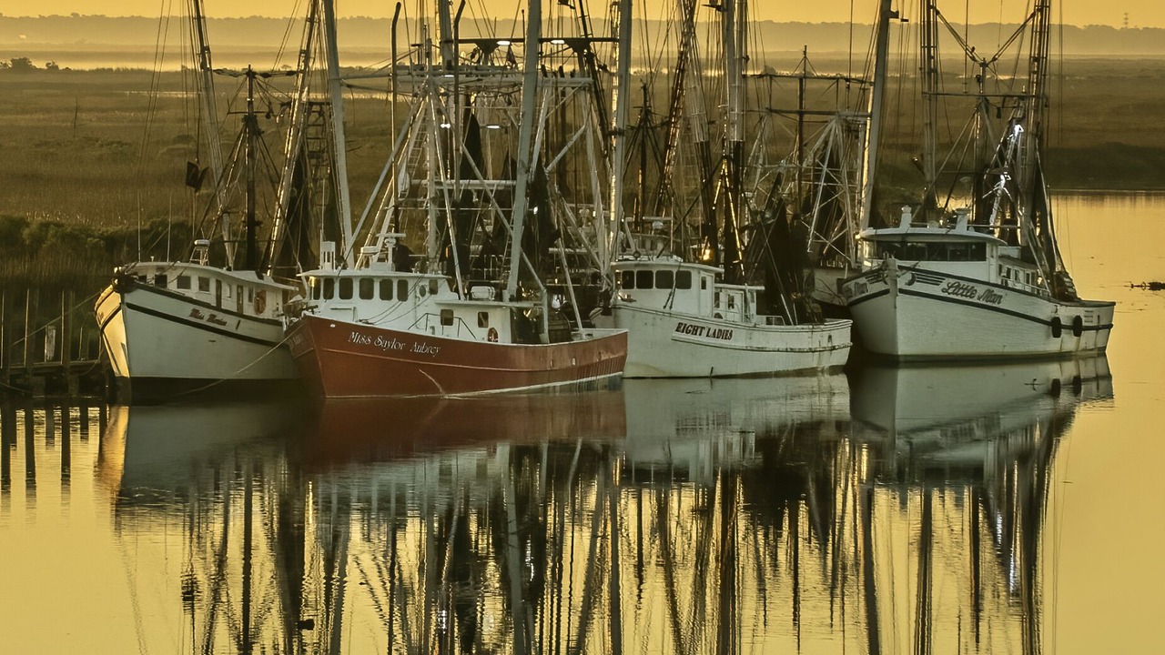 Photo of Others in Darien