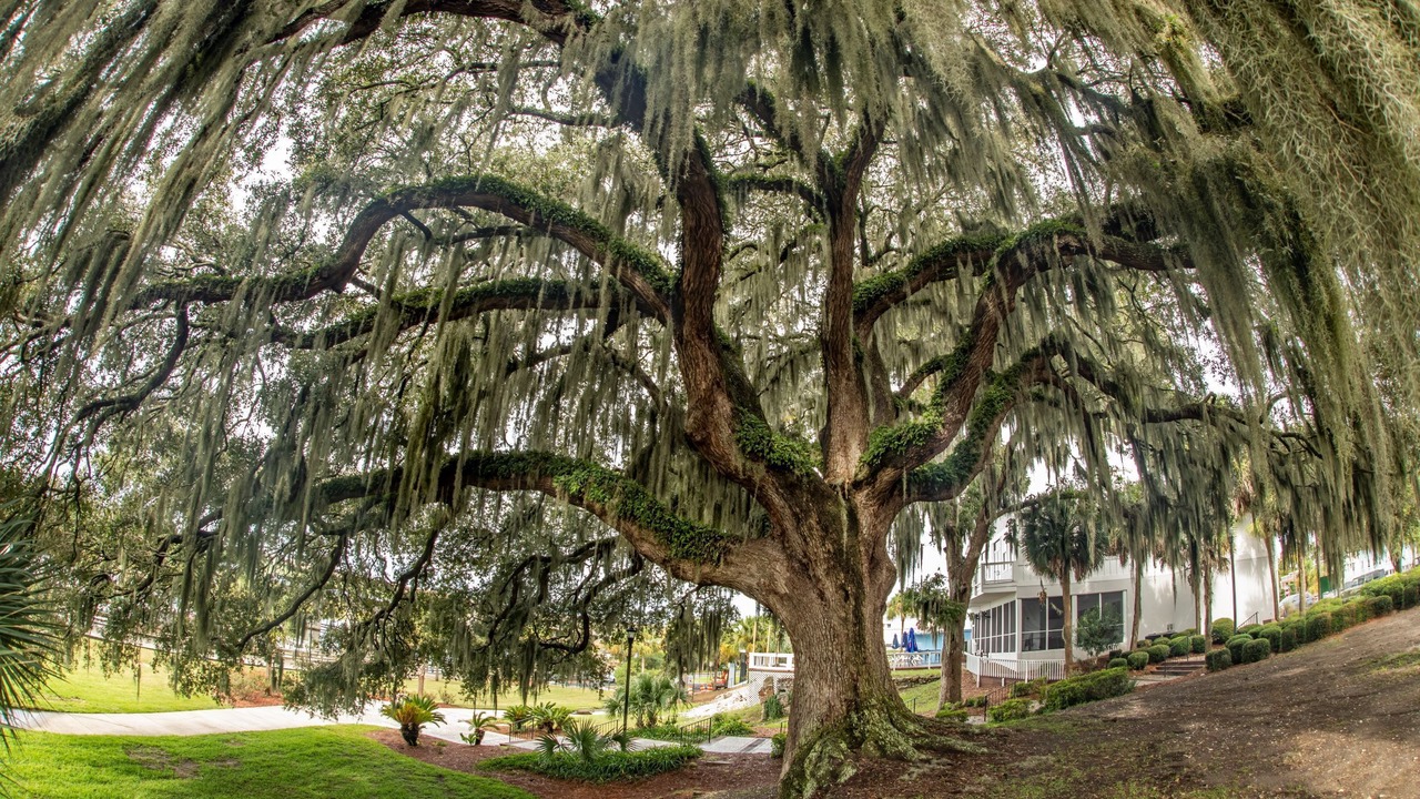 Photo of Outdoor in Darien