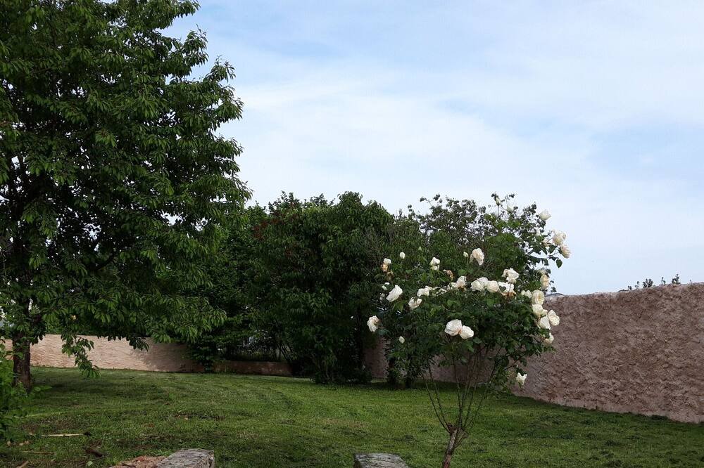 Photo of Outdoor in Saint-Marcel