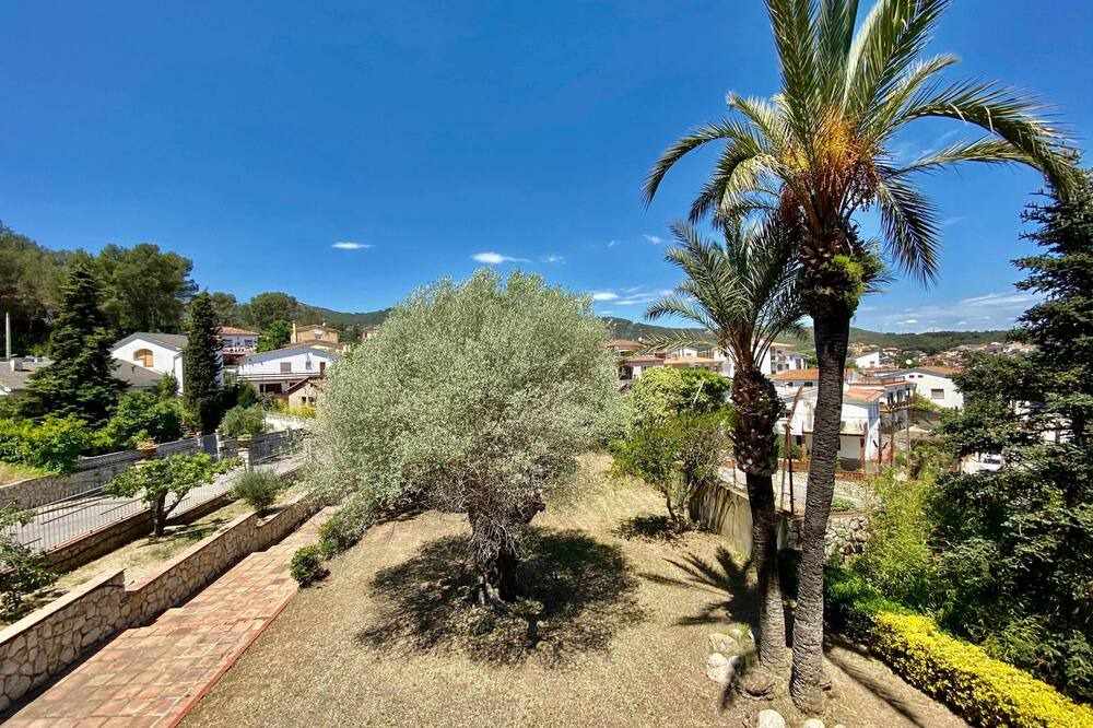 Photo of Outdoor in Canyelles