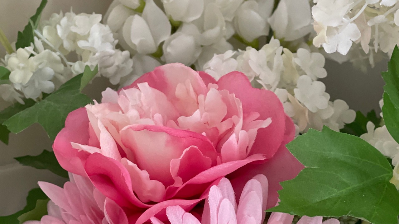 Photo of Others in Truganina